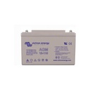 Battery AGM Deep Cycle 12V/110Ah (M8)